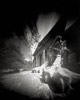 pinhole of 4x5 lion 1